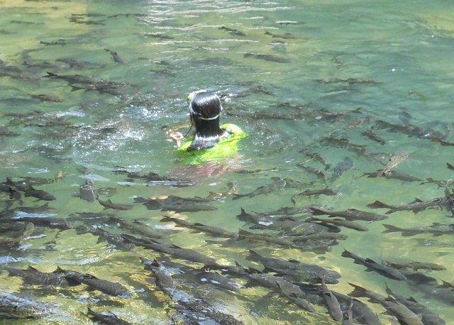 Namtok Phlio National Park-尖竹汶必去景点