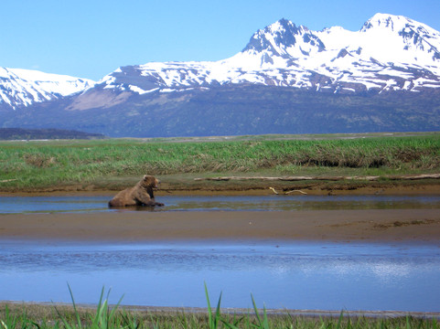 Emerald Air Service, Inc.-荷马必去景点