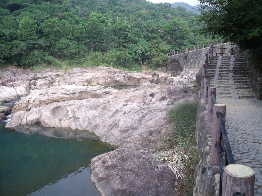 三寨谷森林公园-龙门县必去景点