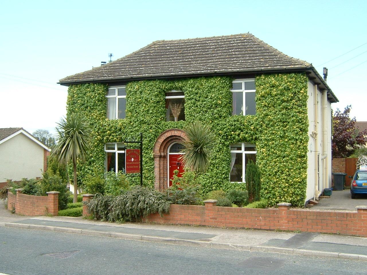 White Rose Villa-官方