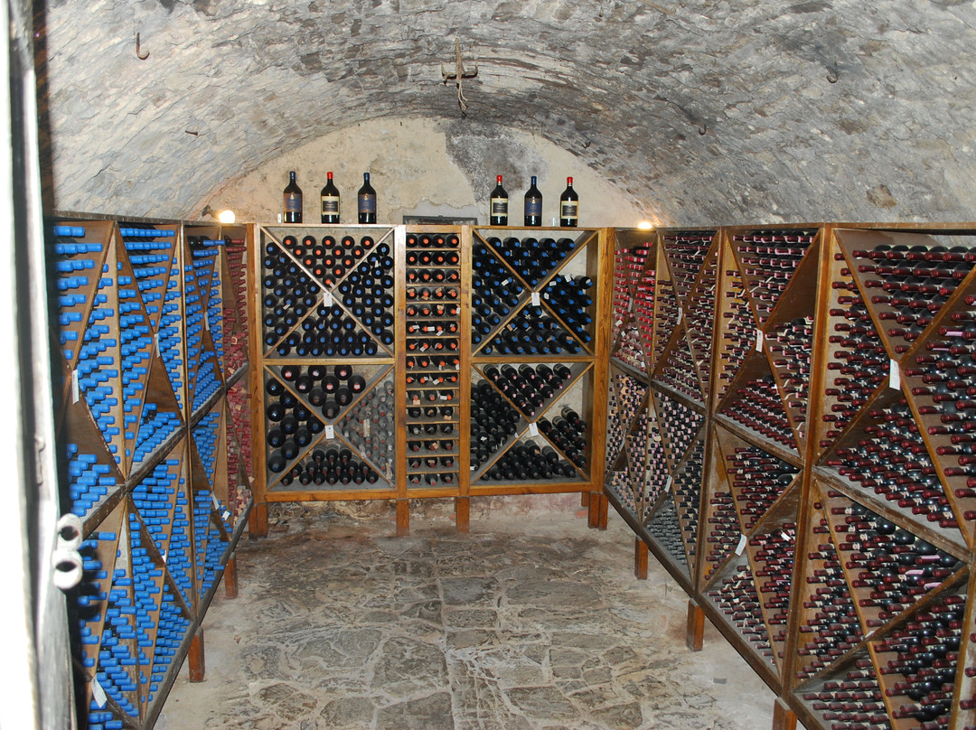 托斯卡纳葡萄酒之旅-锡耶纳必去景点