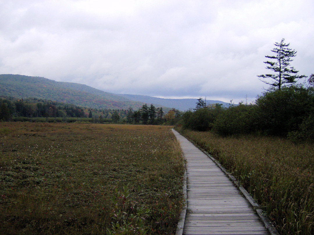 Cranberry Glades Botanical Area景点图片