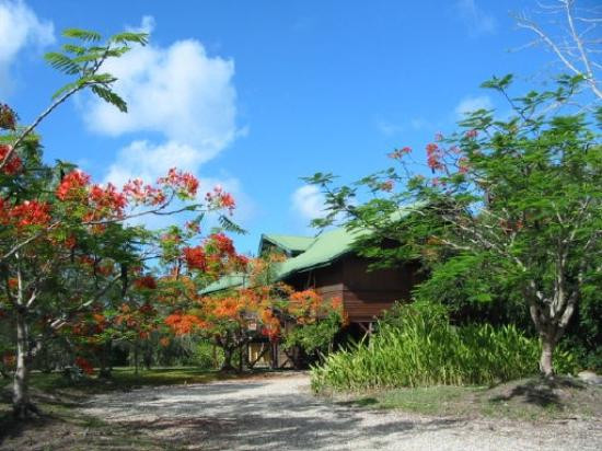 Marae Bed and Breakfast主图