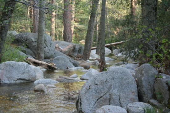 Mount San Jacinto State Park and Wilderness-Idyllwild必去景点