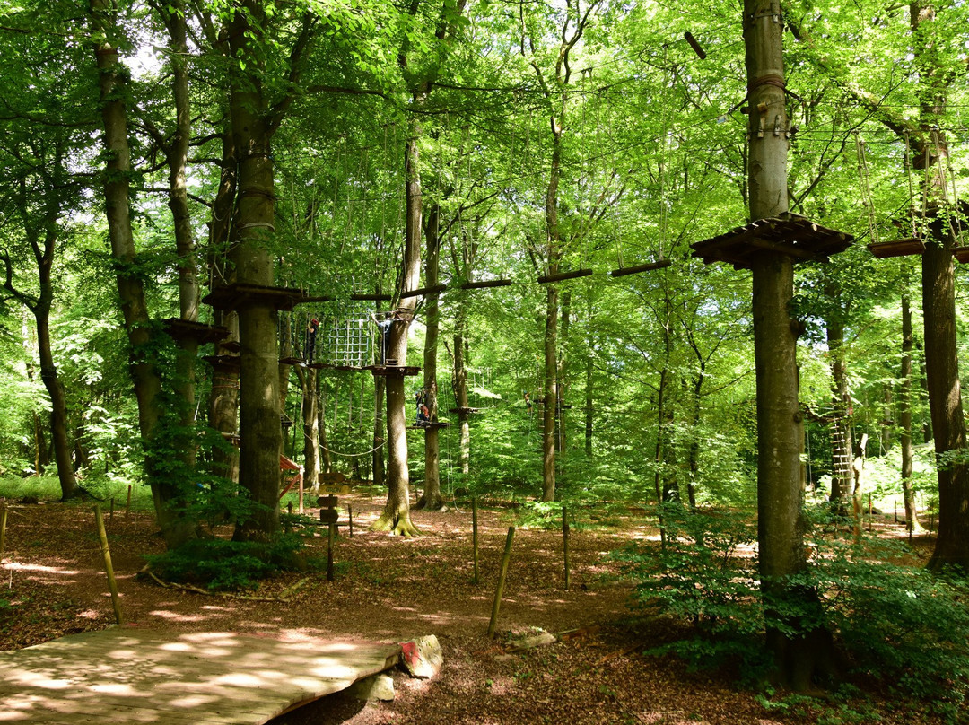 Kletterwald Lauschhuette-Weiler bei Bingen必去景点