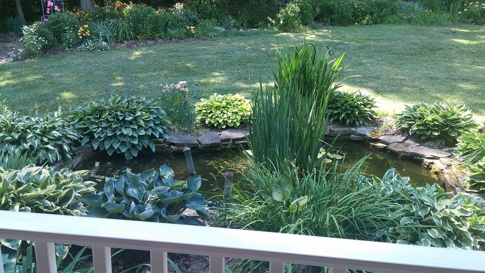Luftberg Farm Bed and Breakfast-浴室
