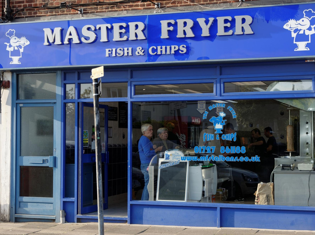 The Master Fryer