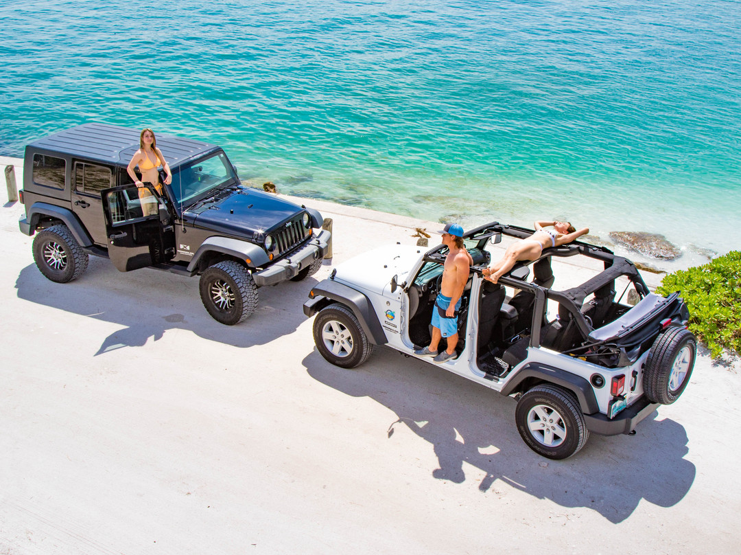 Island Jeep Excursions-布雷登顿必去景点