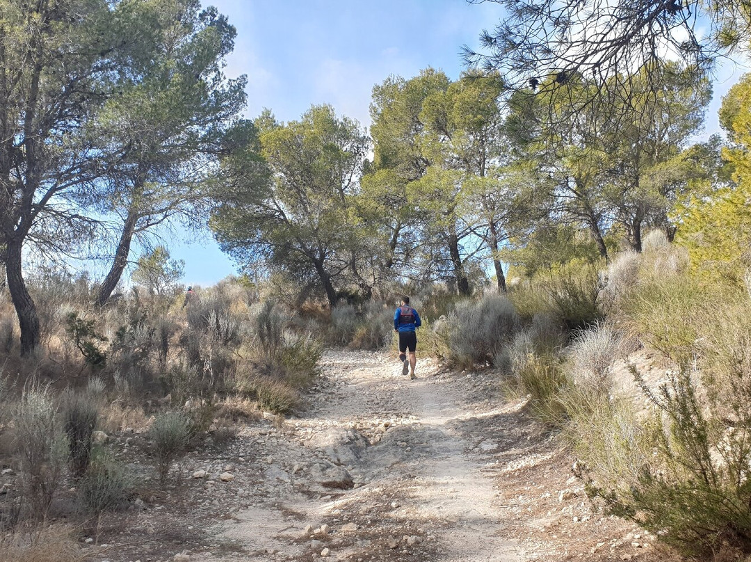 Espacio Natural Protegido Sierra de Salinas