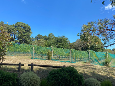 Rick's Tours Australia-墨尔本必去景点