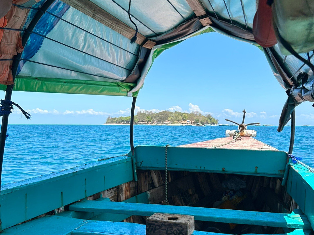 Wise Tour Guide-石头城必去景点