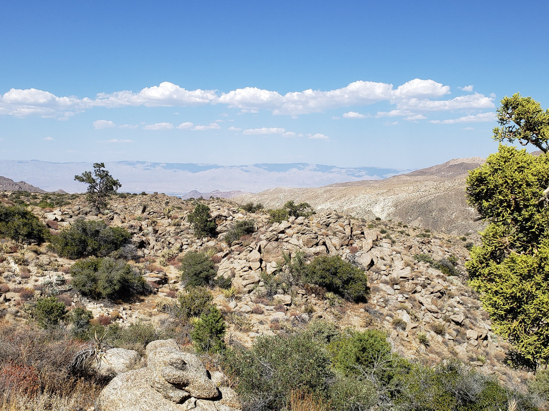 Palms to Pines Scenic Byway-棕榈沙漠必去景点