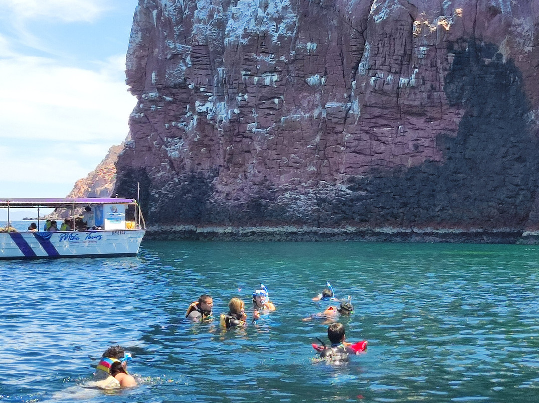 Salty Life in Baja-拉巴斯必去景点