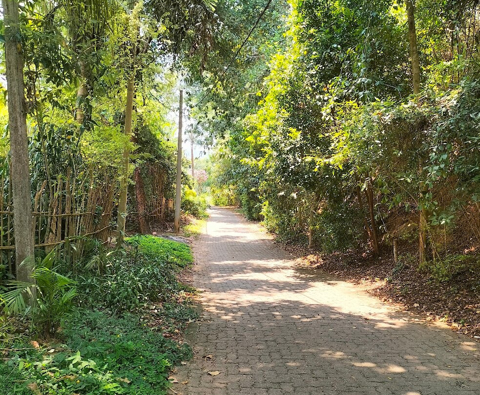 汉莎纳假日客房酒店主图