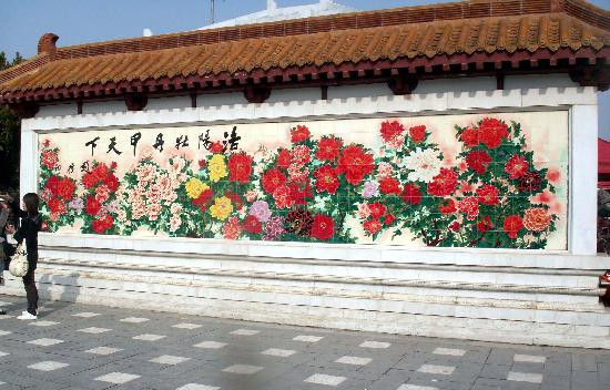 牡丹公园-洛阳市必去景点