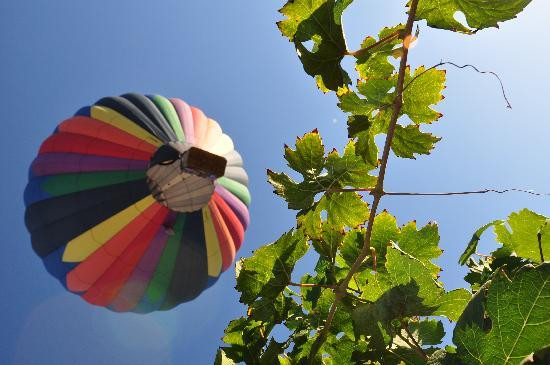 Sunrise Balloons-特曼库拉必去景点