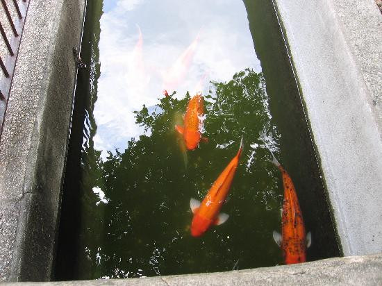 阿拉莫-圣安东尼奥市必去景点