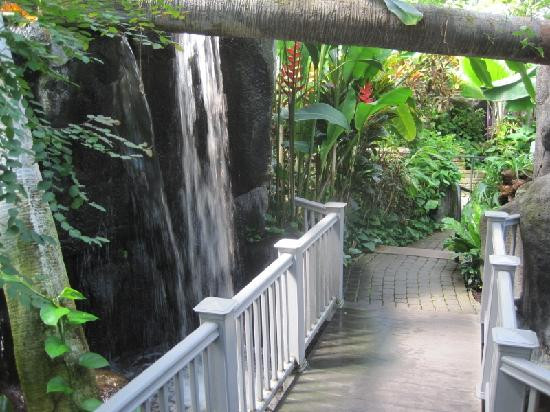 富兰克林温室植物园-哥伦布必去景点