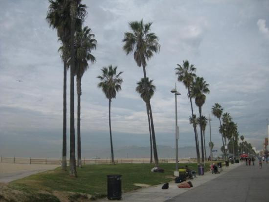 威尼斯海滩-洛杉矶必去景点