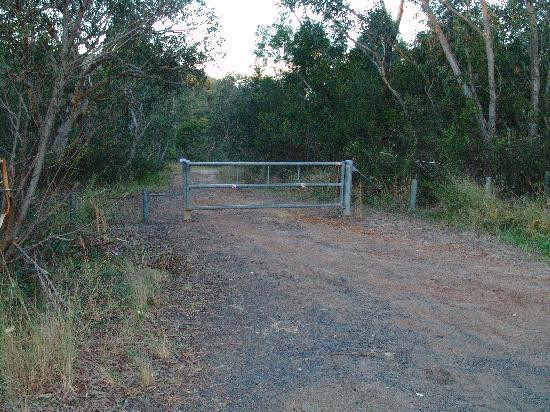 Gosford Glyphs-Kariong必去景点