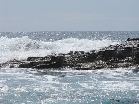 海豚发现之旅-凯鲁瓦-柯纳必去景点