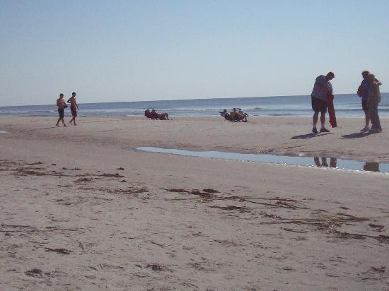Coligny Beach景点图片