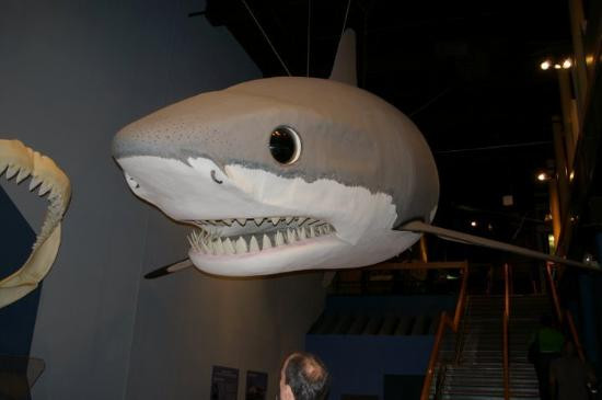 South Carolina State Museum-哥伦比亚必去景点