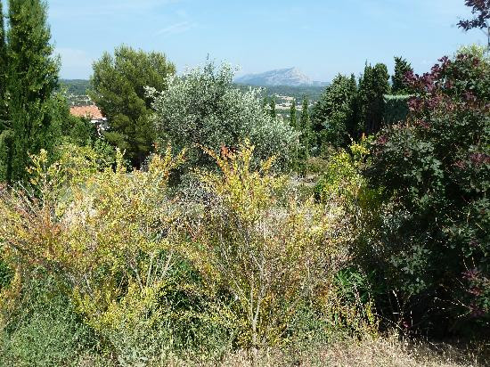 Terrain des Peintres (Painters  Park)景点图片