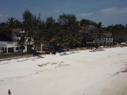 Blue-Fin Diving-马林地必去景点