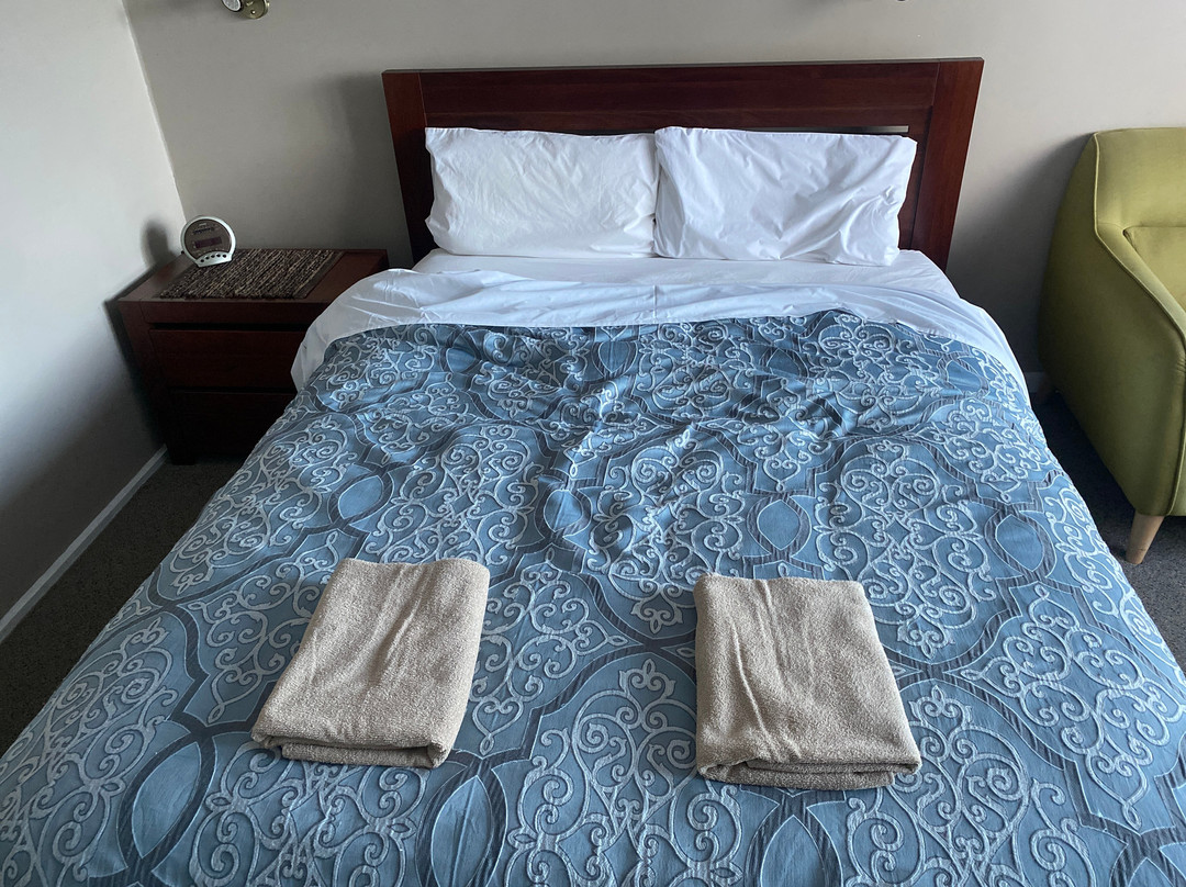 奥帕尔汽车旅店主图