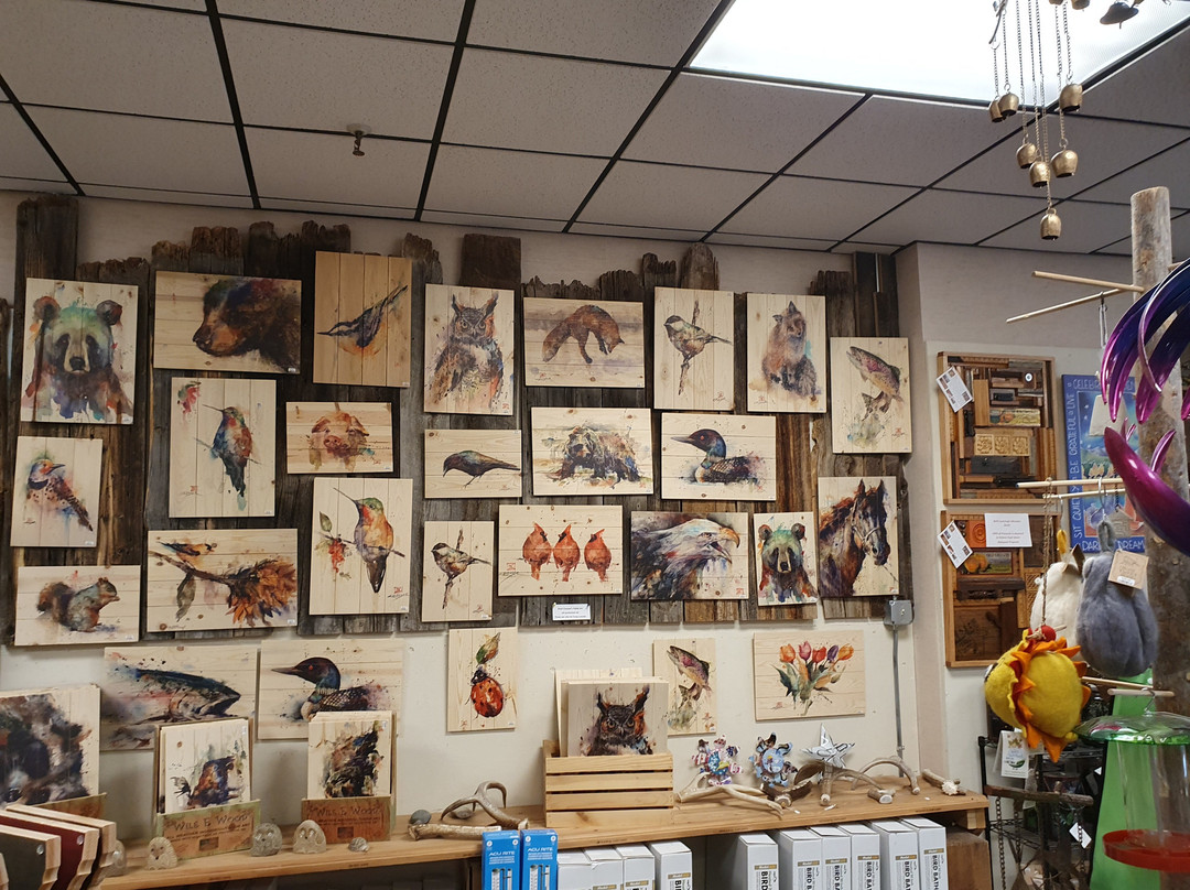 Birds & Beasleys-赫勒拿必去景点