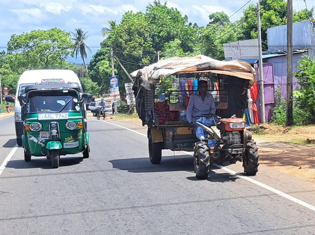 Aliya Tours-康提必去景点