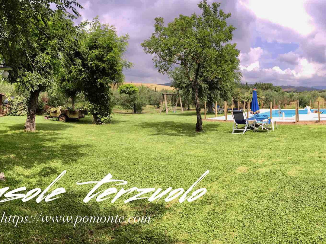 Il Girasole Terzuolo Agriturismo B&B主图