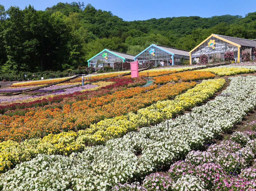 Tochigi Flower Center-栃木市必去景点