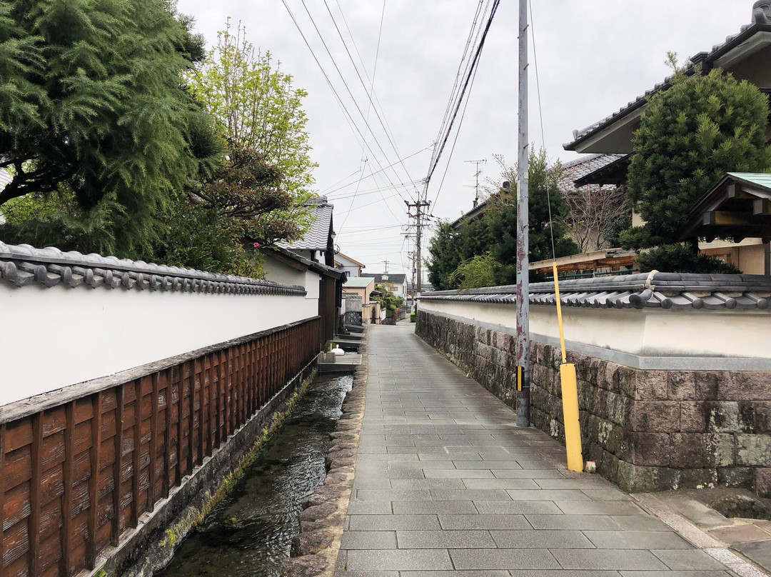The Town of Swimming Carp-岛原市必去景点