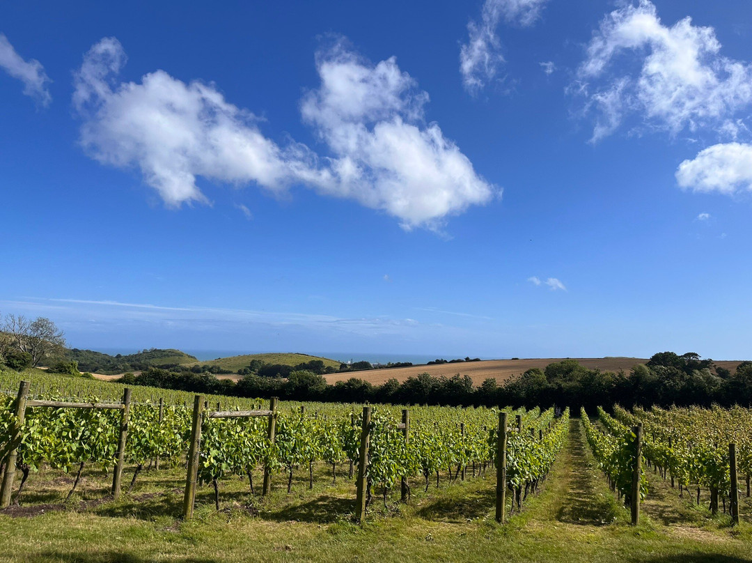 Terlingham Vineyard-Hawkinge必去景点