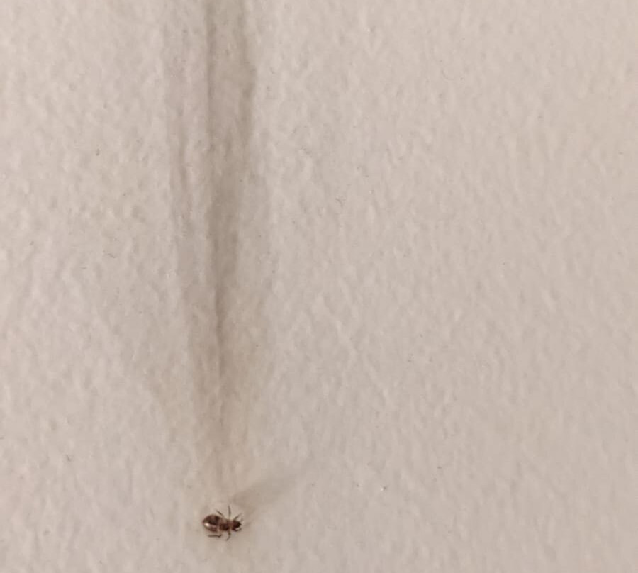 Hotel Rambla Figueres主图