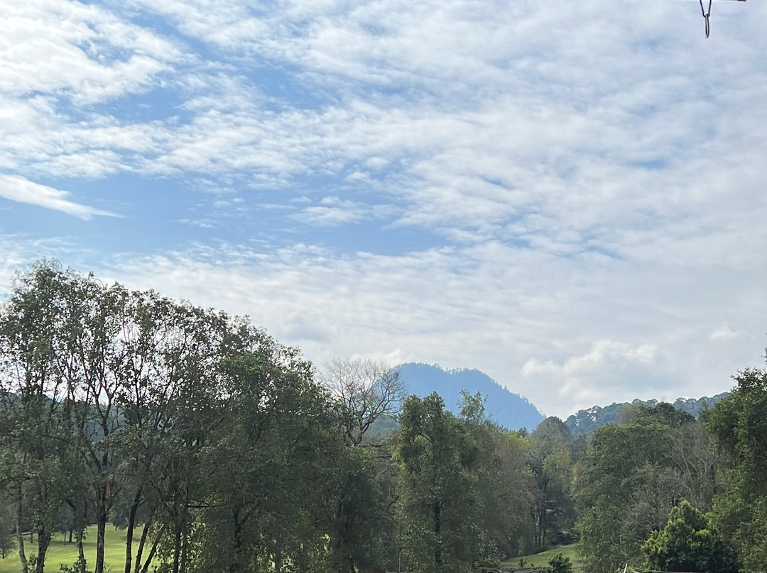 Hotel Avandaro主图