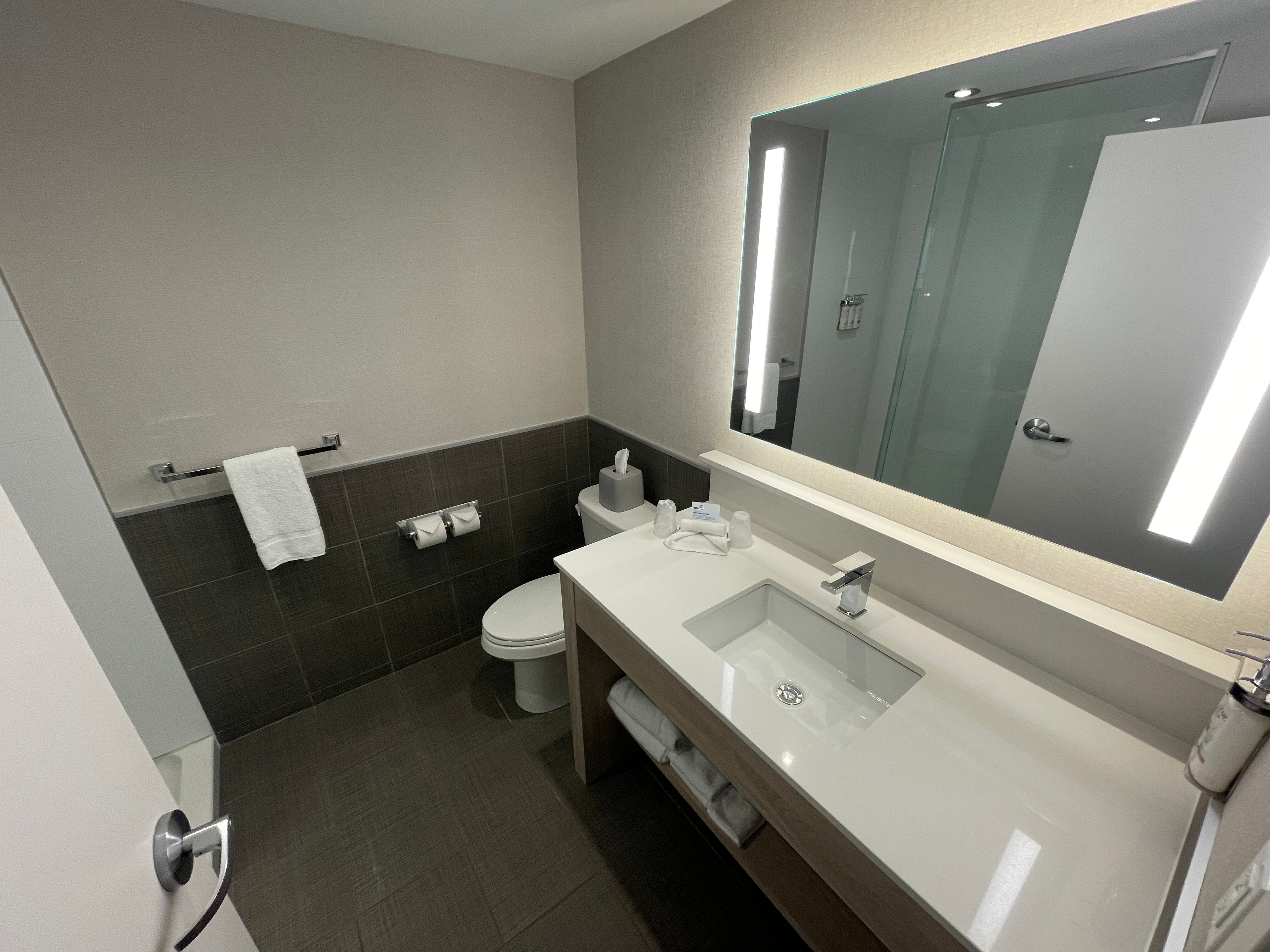Holiday Inn Express & Suites Saint - Hyacinthe By IHG-浴室