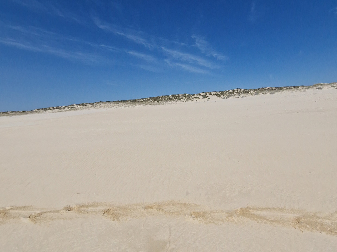 Cavalos na Areia-Comporta必去景点