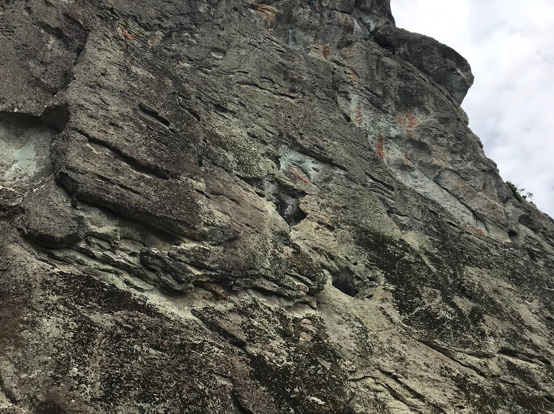 Sanuki Kannon-盐谷町必去景点