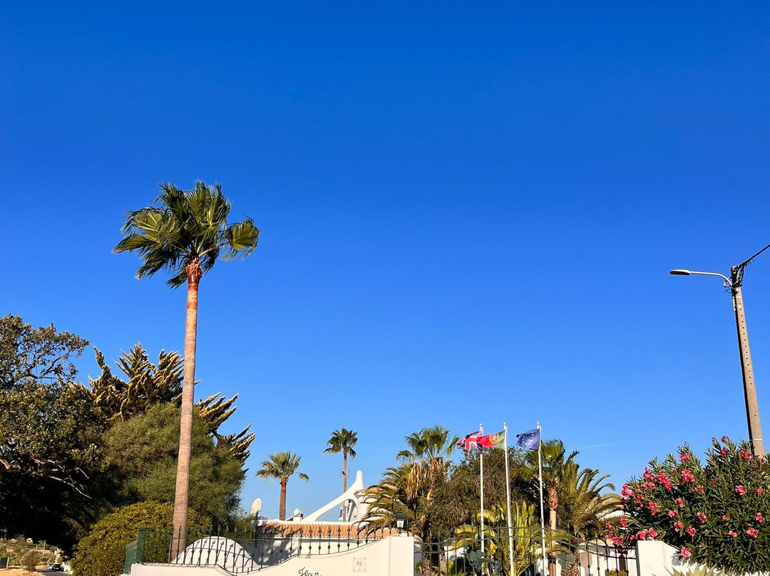 Flor Do Vale Apartments主图