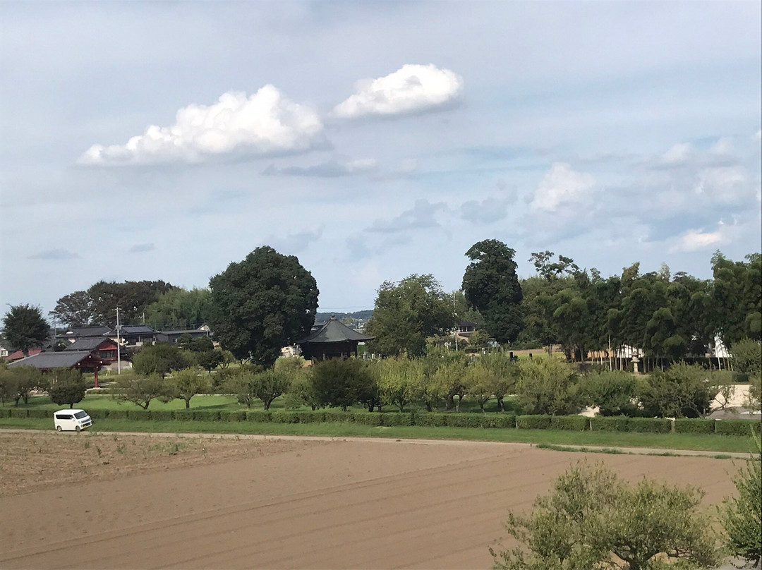 Shimono Yakushiji History Museum-下野市必去景点