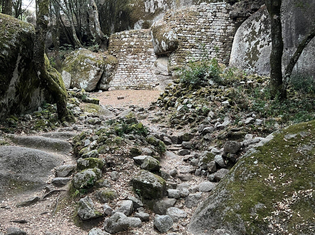 Site archéologique de Cucuruzzu景点图片