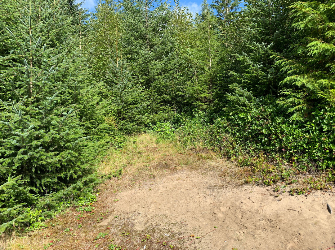 Old Growth Alley Trail-Tlell必去景点