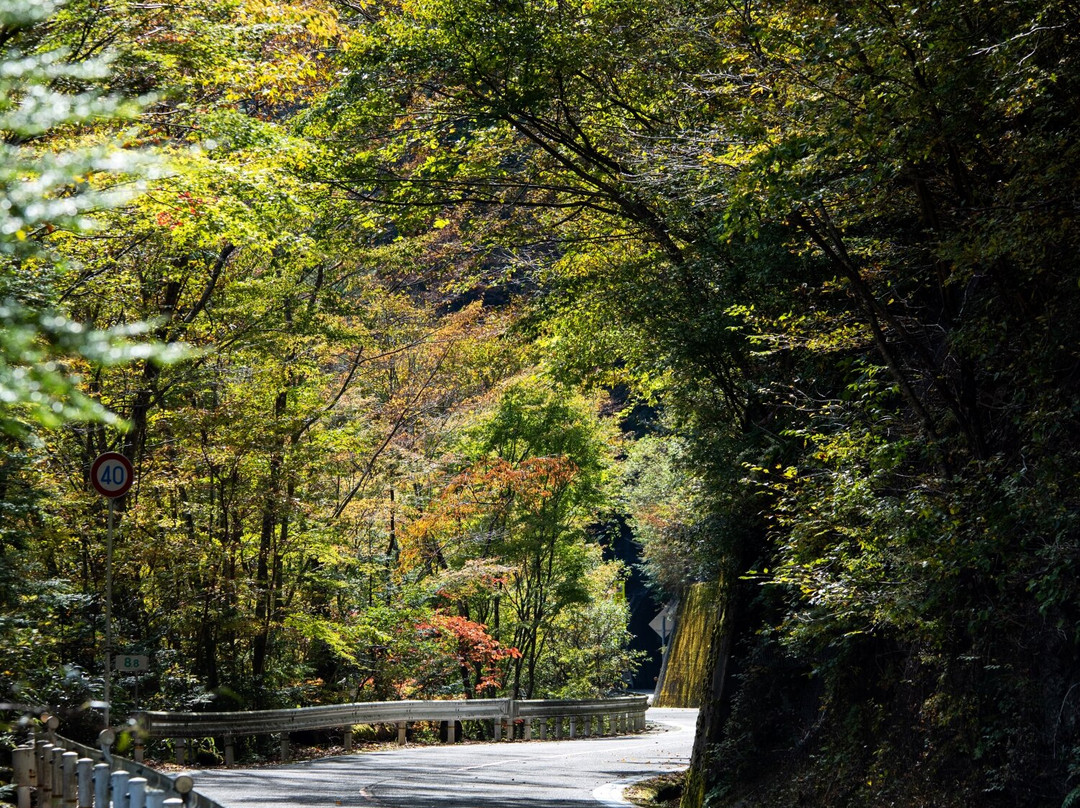 Ishizuchi Skyline-久万高原町必去景点