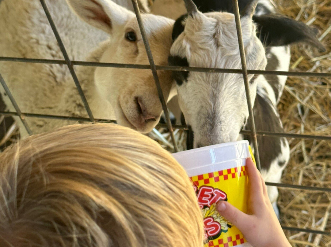 Little Ponderosa Zoo-Clinton必去景点