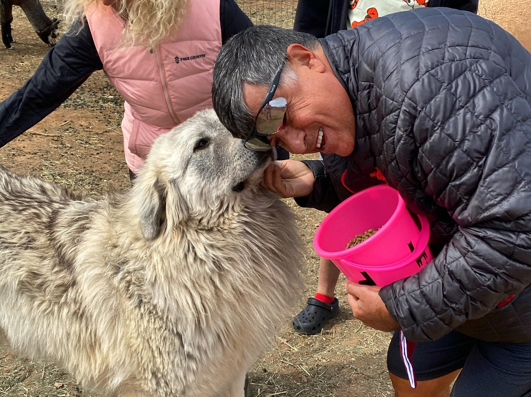 Circle Cliff Ranch Alpacas-Bicknell必去景点