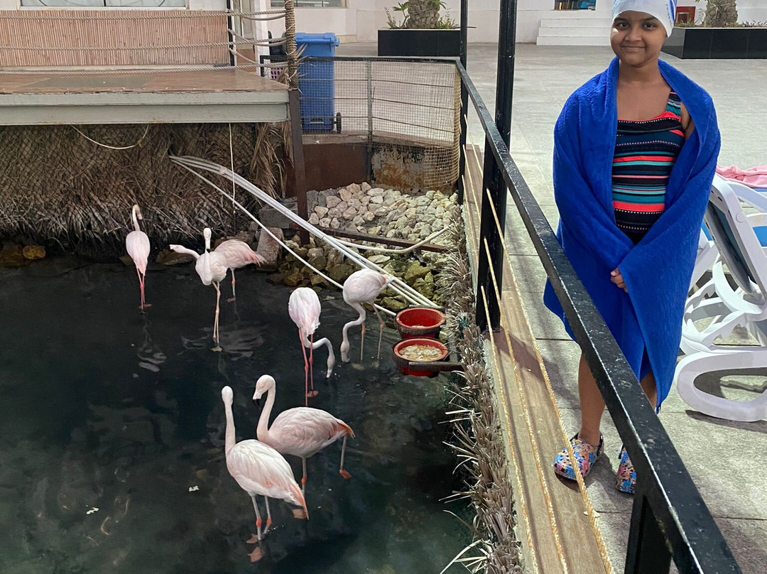 Lagoona Beach Luxury Resort & Spa主图