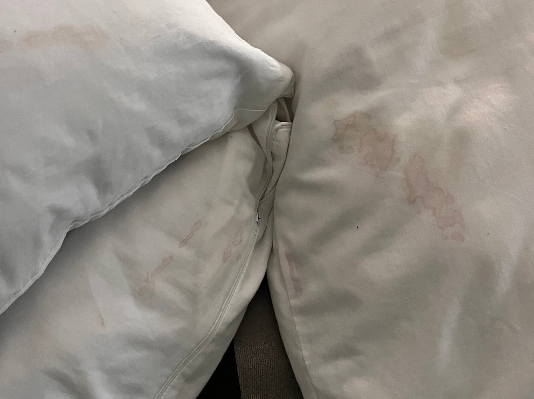 Wingate by Wyndham Lubbock Near Texas Tech Univ. Medical Ctr主图